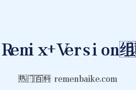 Remix+Version组词是什么意思的图片